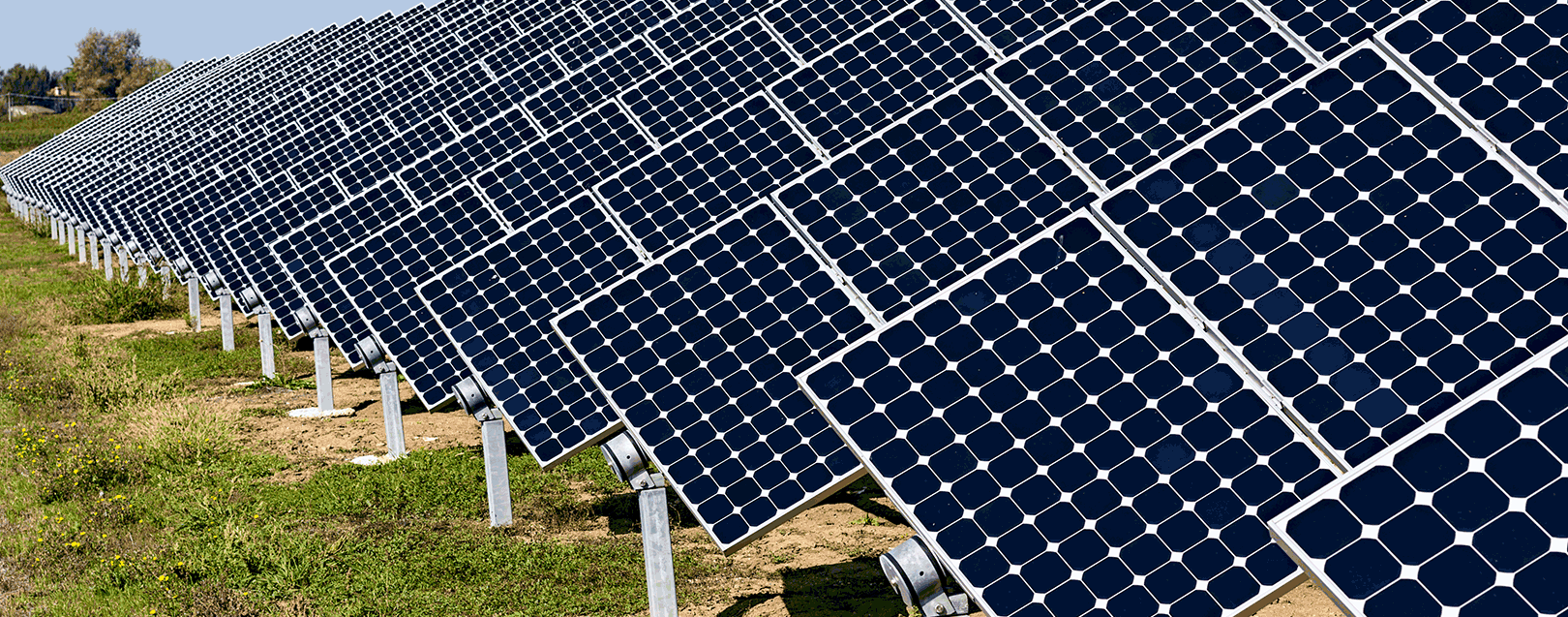 India's solar power capacity crosses 10 GW: Piyush Goyal