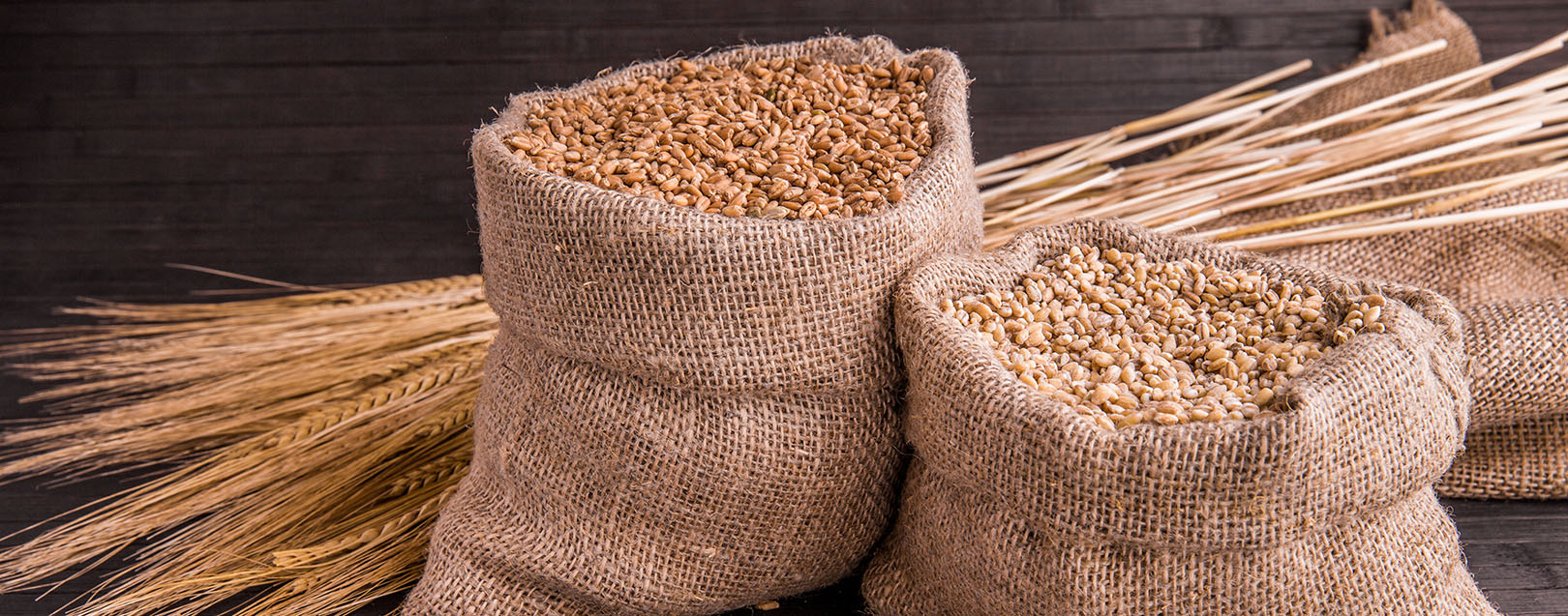 Government considering import duty on wheat: Agri Secretary