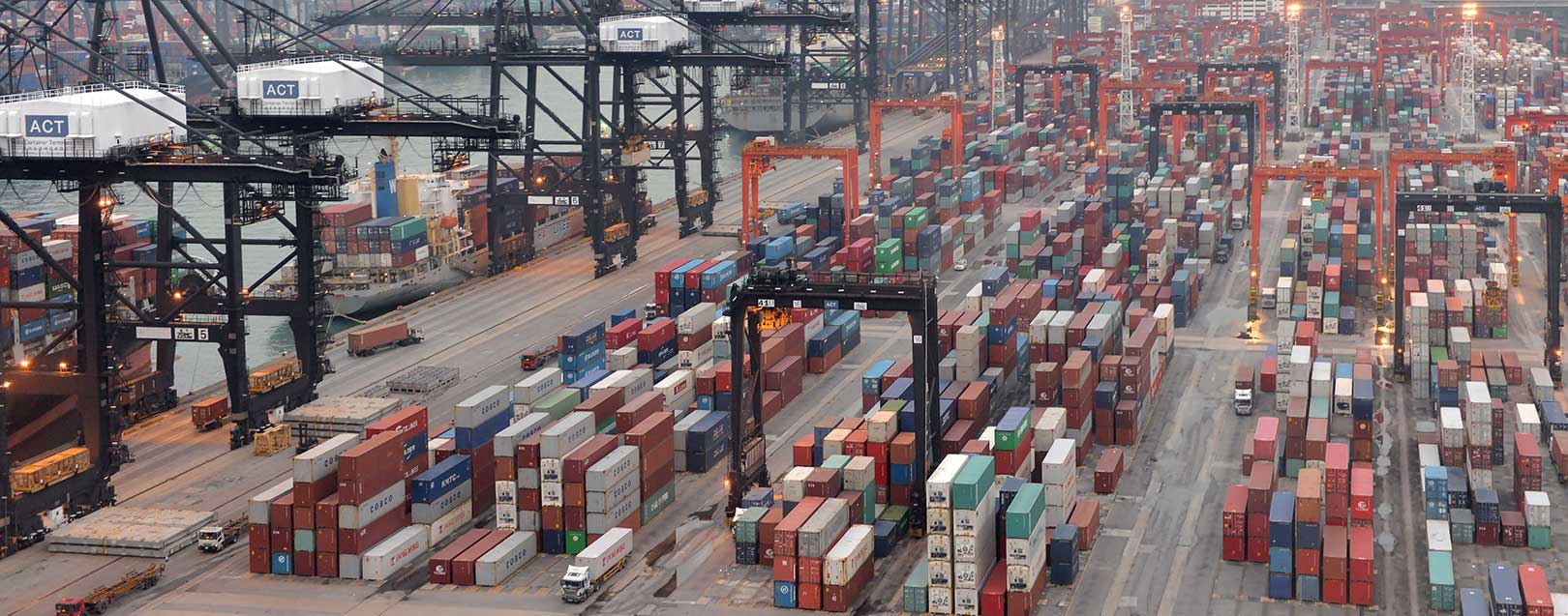 Feb exports brighten foreign trade outlook
