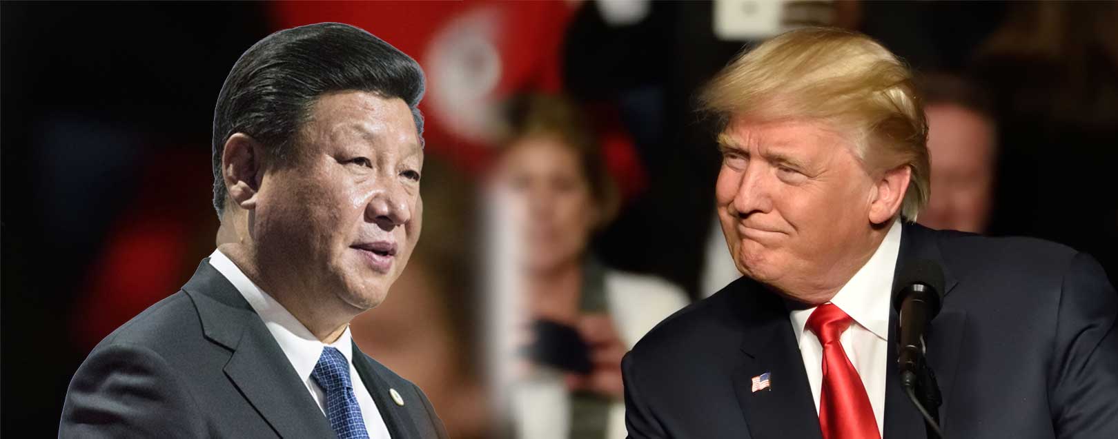 Xi to meet Trump in Florida next week