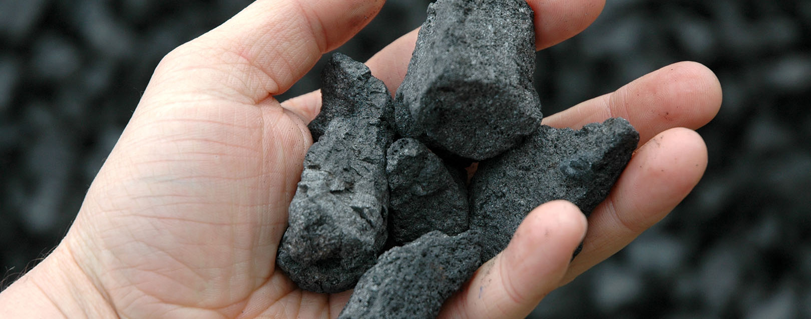 Coal India zeroes in on Australia and South Africa for acquisitions