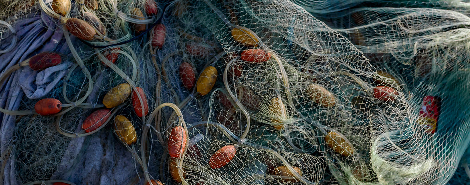 Industry seeks anti-dumping duty on fishnets imports