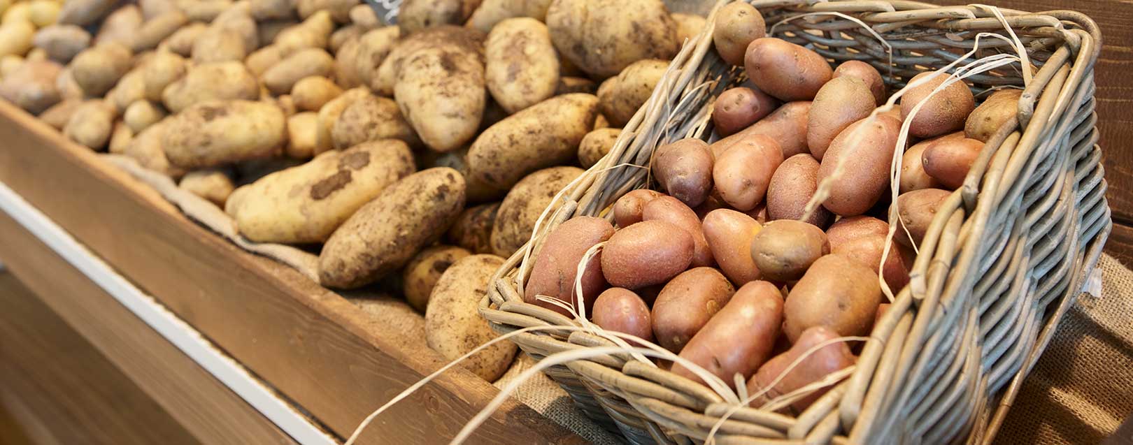 UP govt to buy one lakh metric tonne of potatoes at Rs 487 per quintal