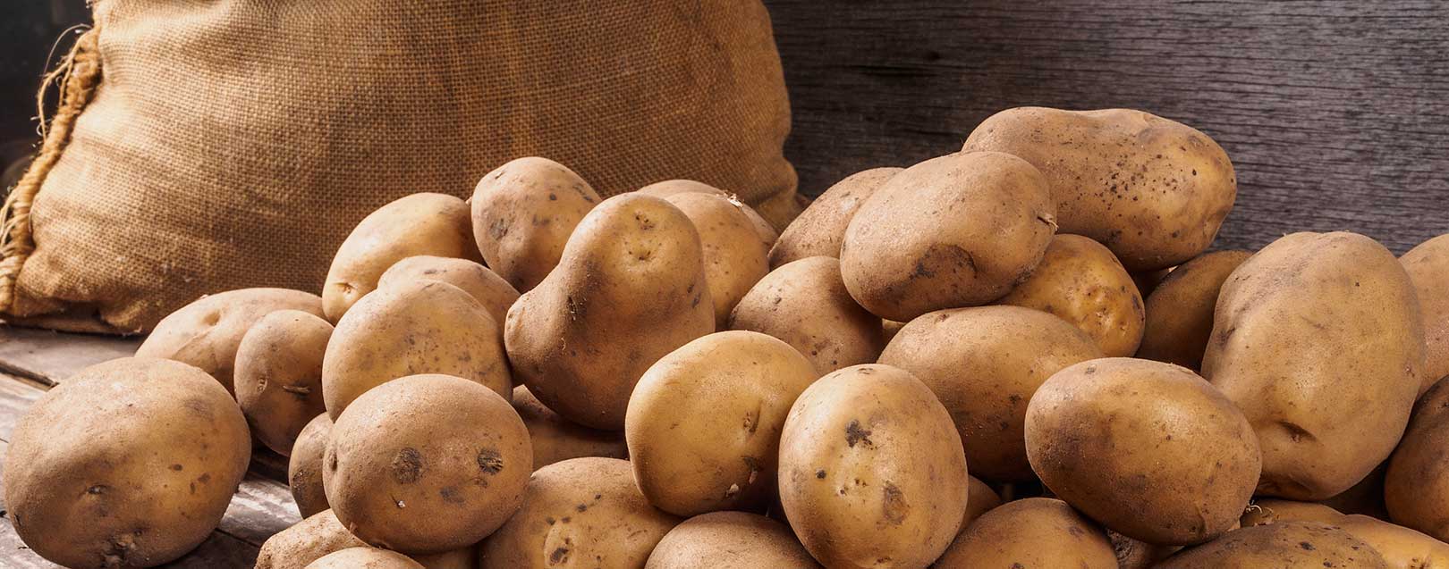 Potato production in India to be at 47 MT this year
