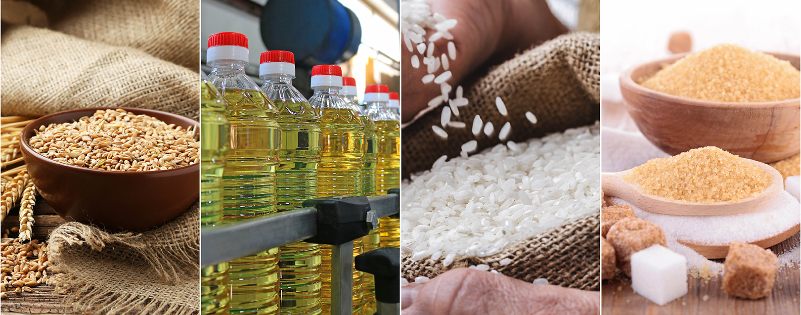 Govt exempts quantity limit on export of organic- wheat, non-basmati rice, oils, sugar 