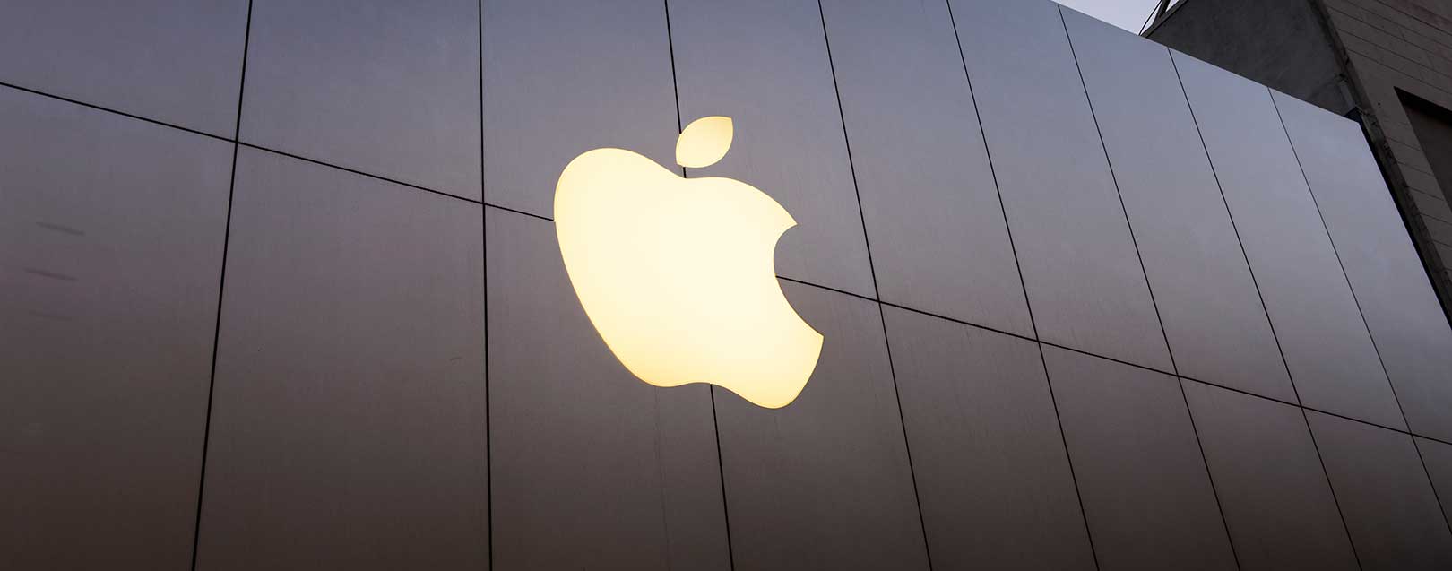 Apple optimistic of capturing the growing share of India's market
