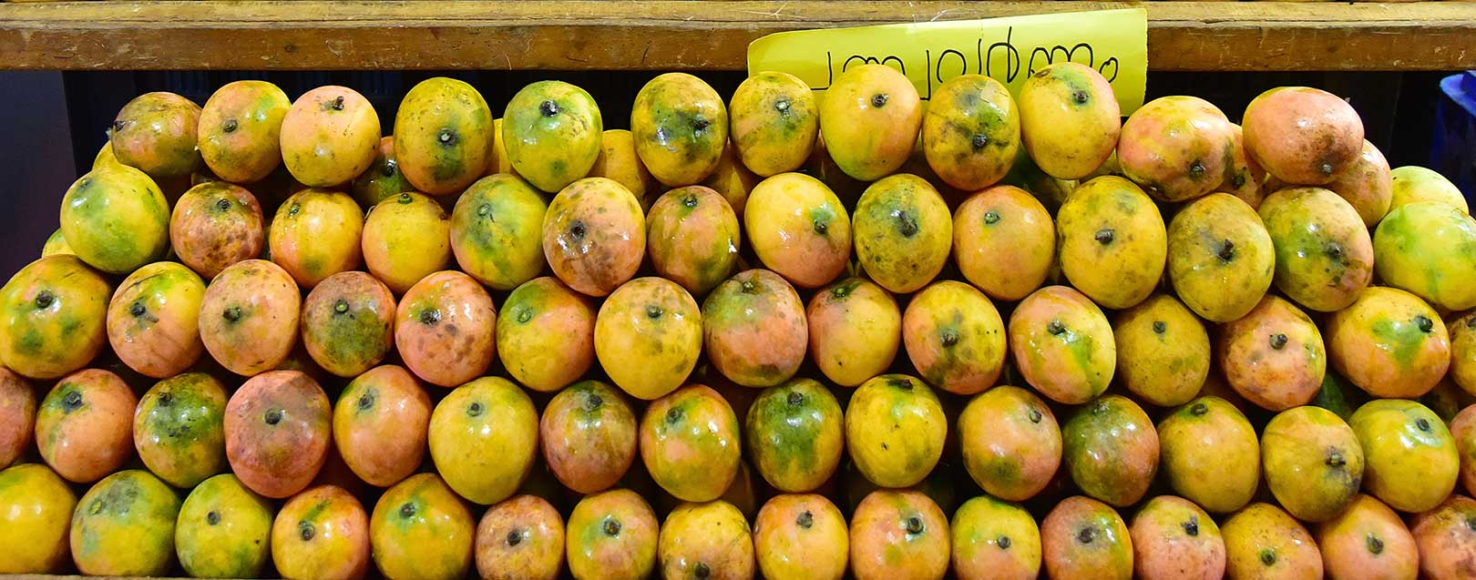 GI tag for Andhra Pradesh's Banganapalle mango