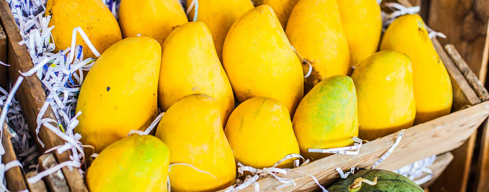 First consignment of Indian mangoes arrive in Australia