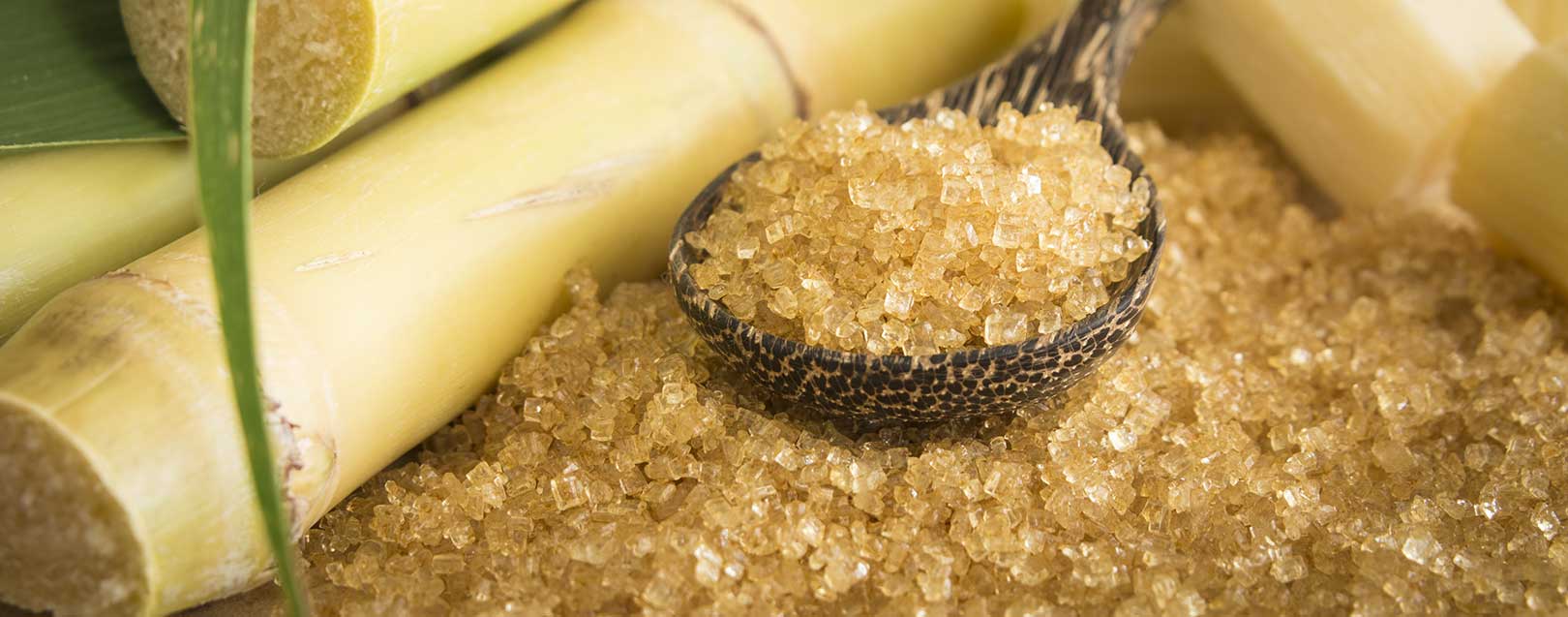 Sugar price rise 'inevitable' due to sugarcane FRP hike: NFCSF