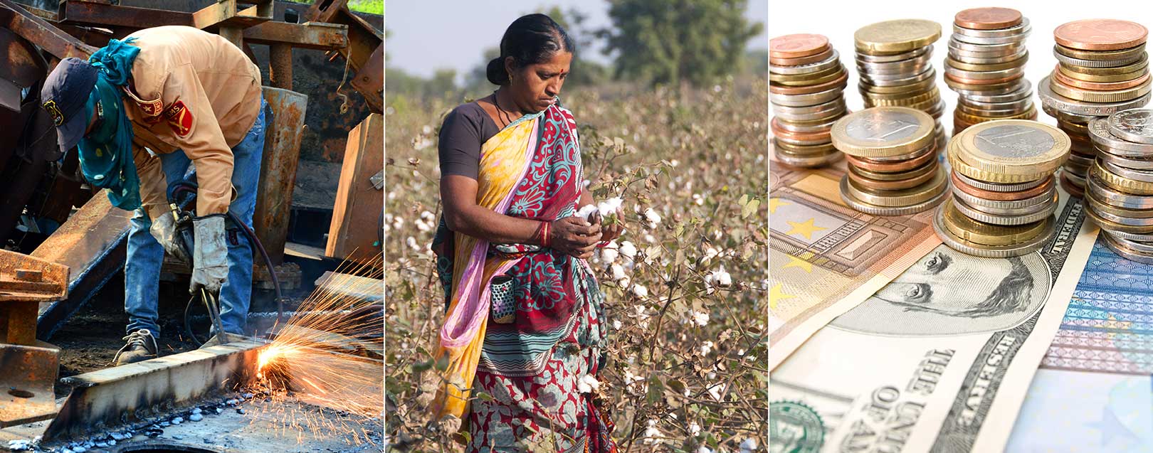 Marginal growth in core sector industries; Cotton sowing pushes up Kharif sowing acreage; Forex reserves hit life-time highs