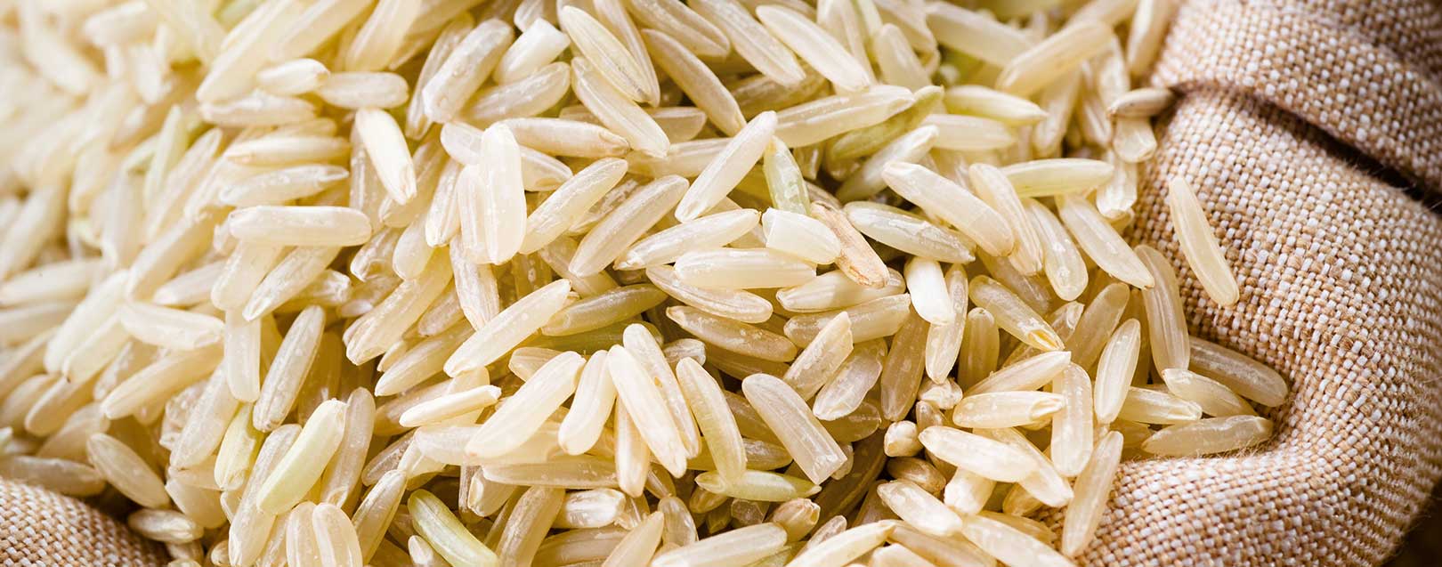 All India Rice Exporters’ Association seeks PM’s intervention to revoke EU ban on basmati rice