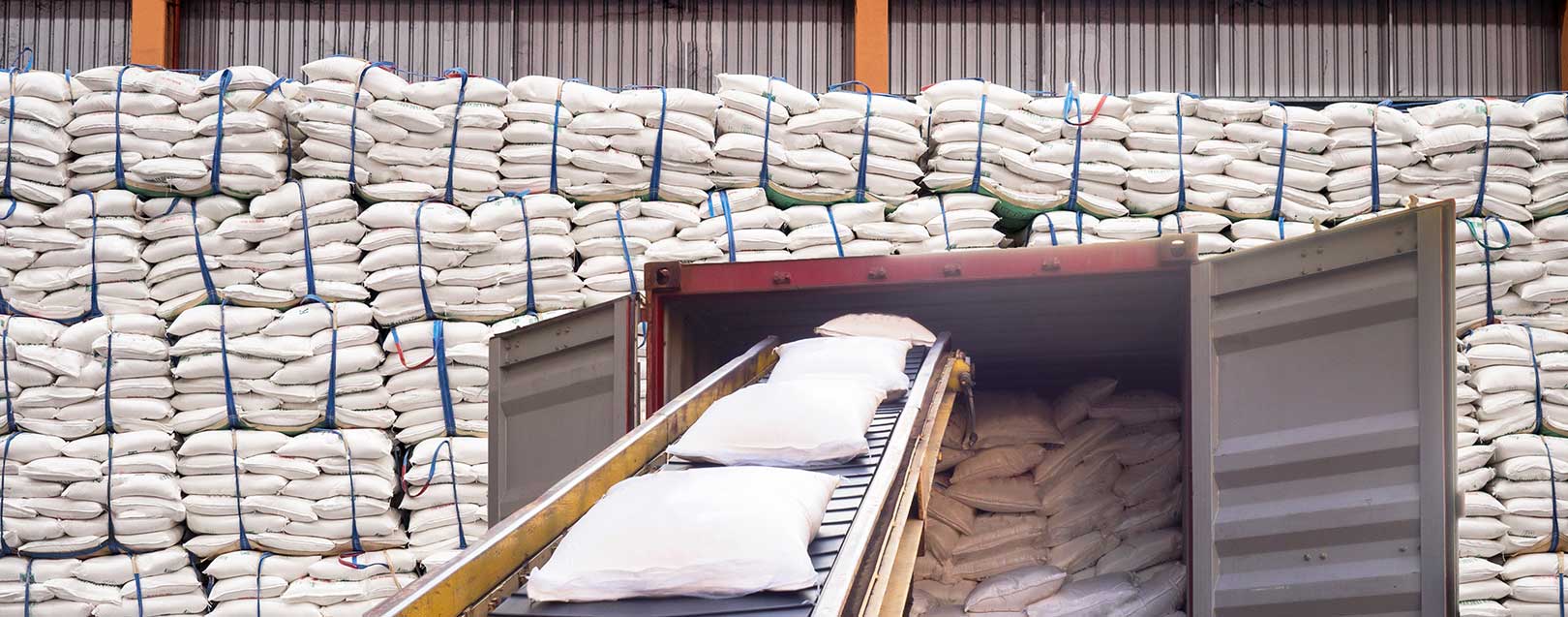 Allocation of sugar quantity for export under tariff rate quota, USDA