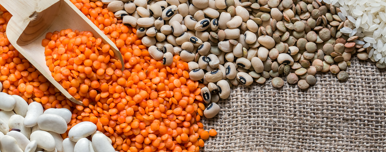Govt lifts ban on export of all varieties of pulses