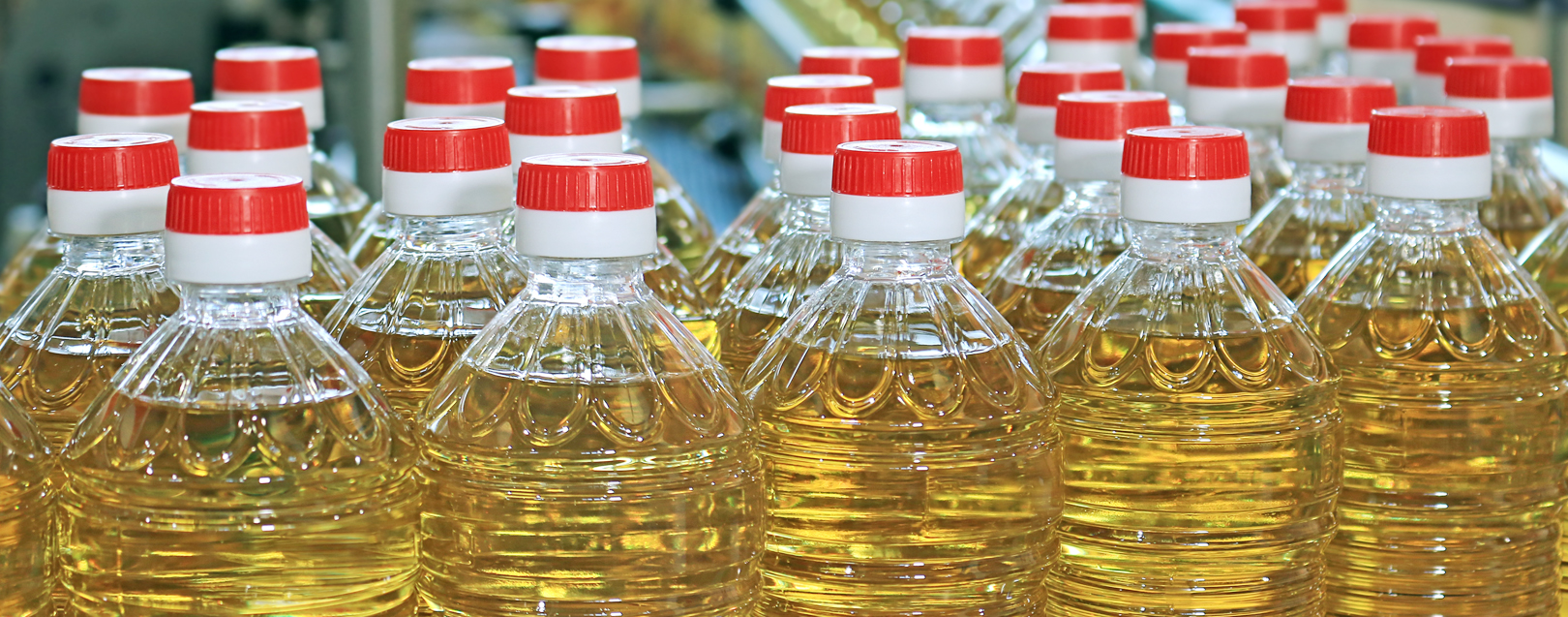 Govt raises import duty on edible oils to boost local prices