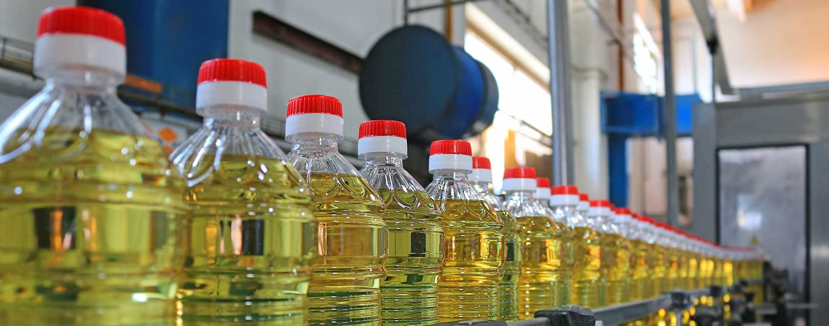 Industry demands hike in import duty on sunflower, soybean oils