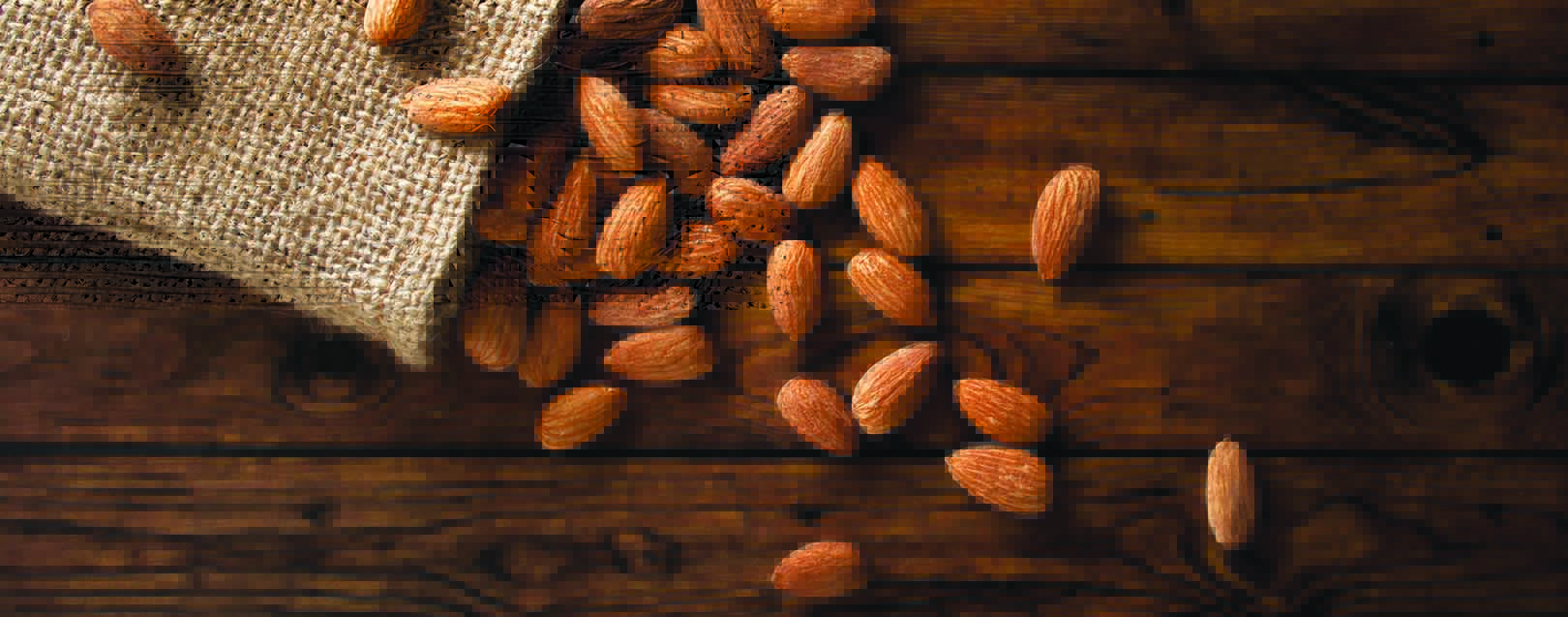 Almond - Nothing nutty about this March 2018 issue
