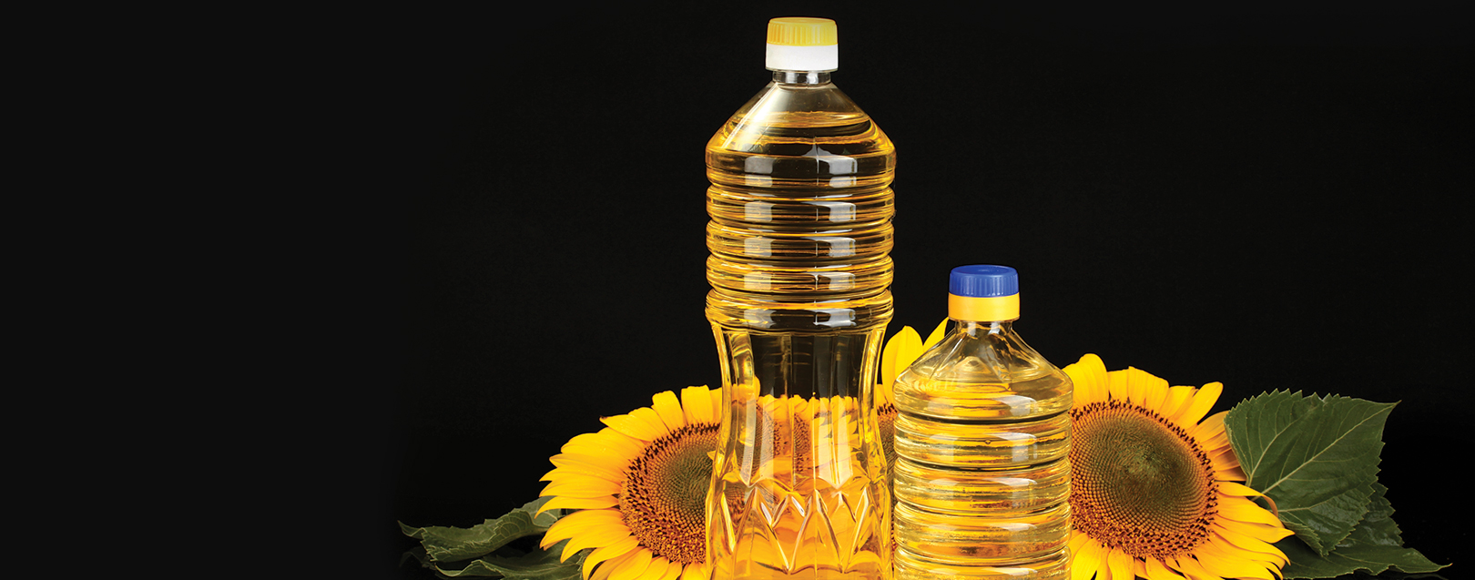 Crude sunflower Oil - Think Of The Second Word: Sunflower... March 2018 issue